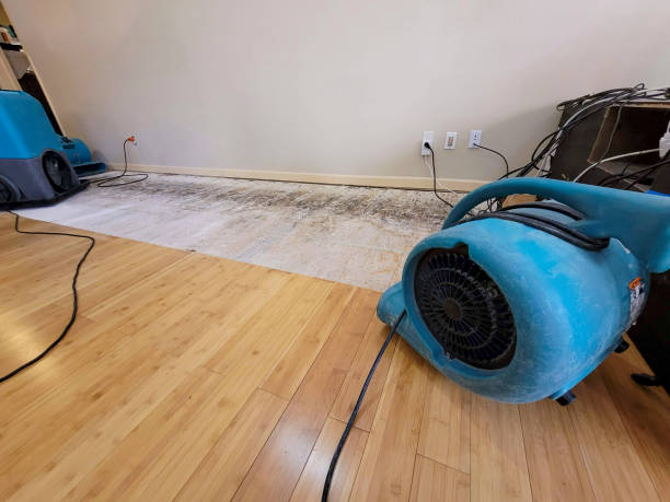 Professional Water Damage Repair technician working in Forest Hills, TN